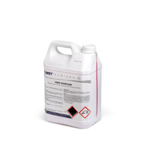 ΚΑΘΑΡΙΣΤΙΚΟ ΧΩΡΩΝ ΥΓΙΕΙΝΗΣ ΥΨΗΛΟΥ ΑΦΡΙΣΜΟΥ ΜΕ ΑΡΩΜΑ ΡΟΔΙΟΥ SANIFOAM FLΟWΕΥ 5L